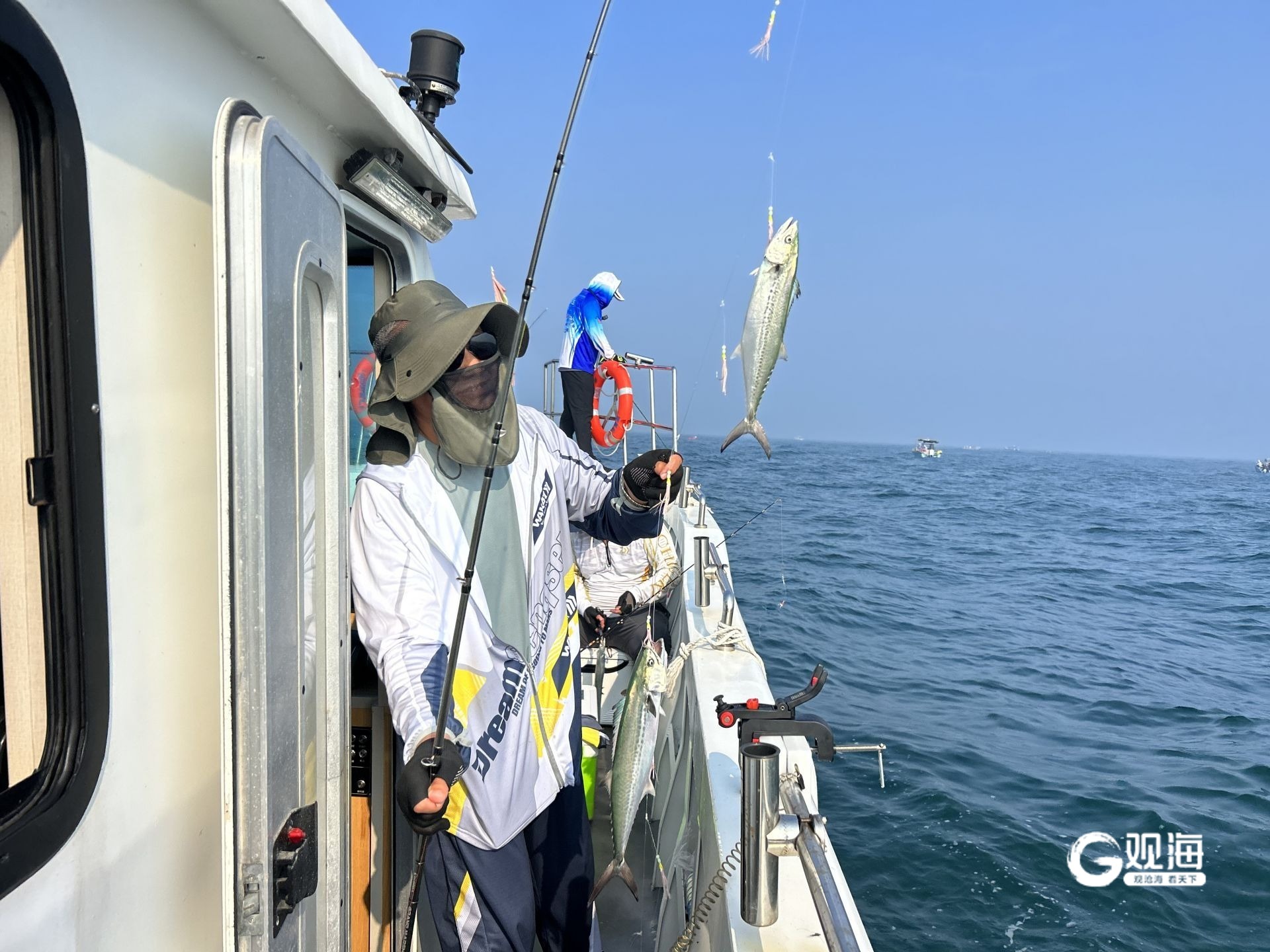 潍坊下营港海钓(青岛1月份还能钓海鱼)