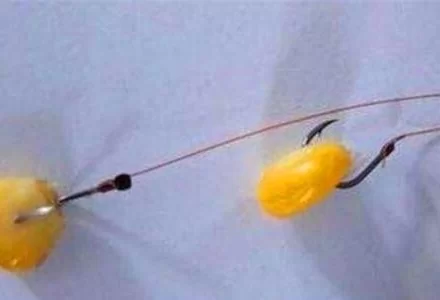 玉米粉做饵料(玉米粉做饵料做法)