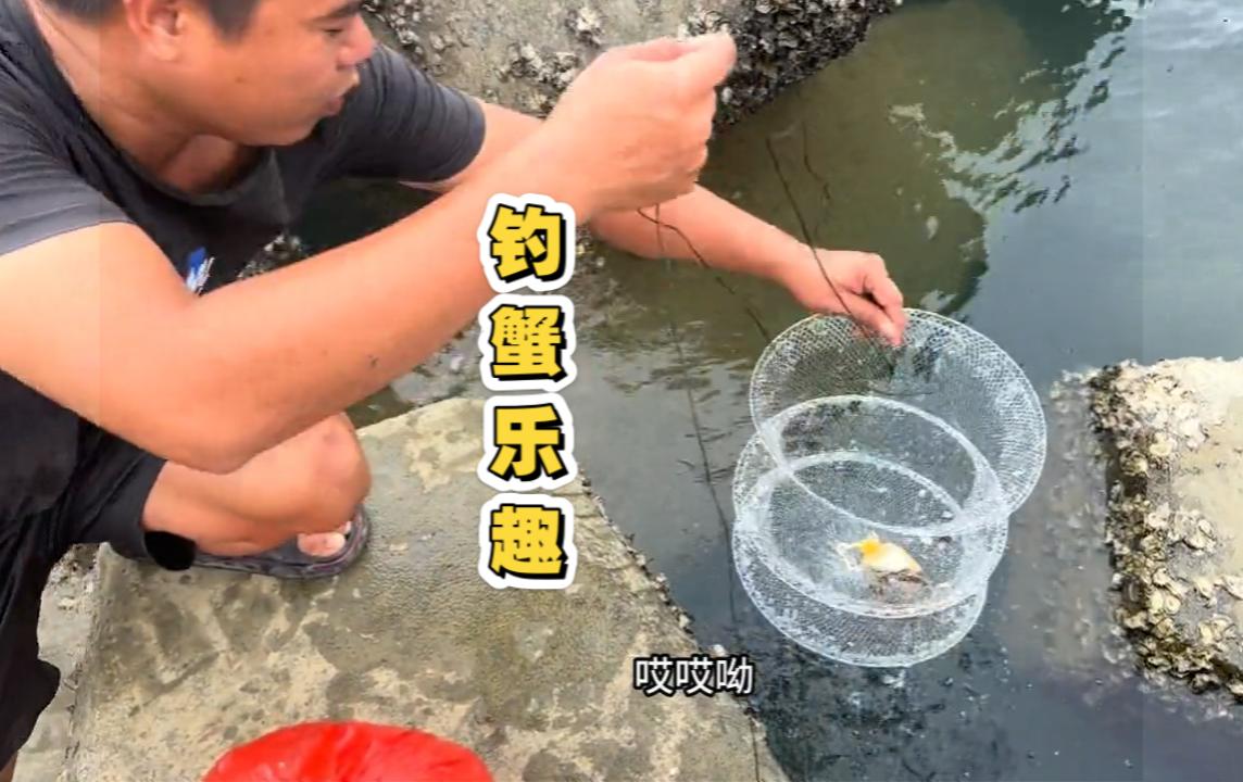 海钓螃蟹视频教程(海钓螃蟹的方法视频教程)