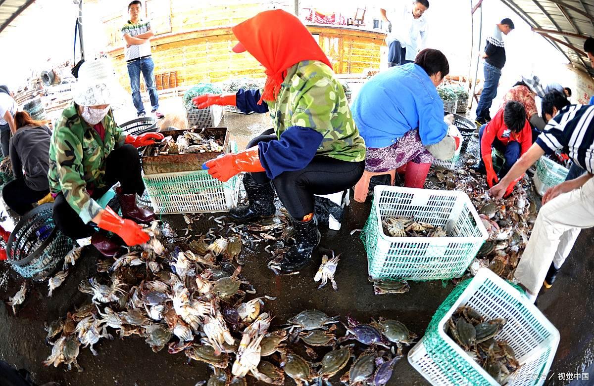 海钓比赛(海钓比赛赛事总结)