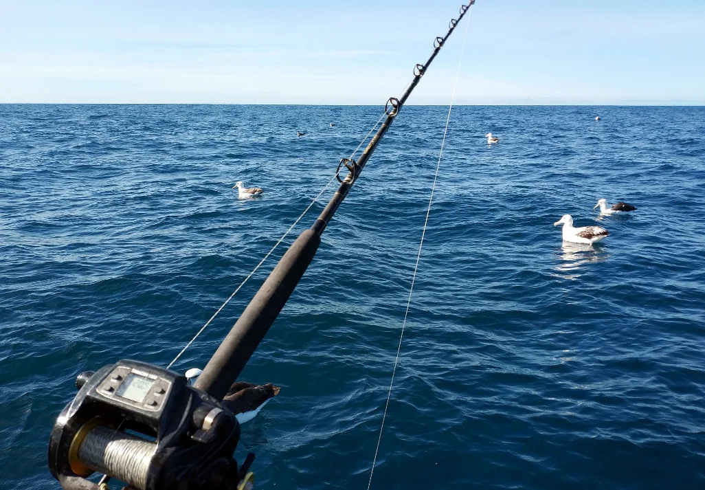 海钓印象(感受你的海海钓视频)