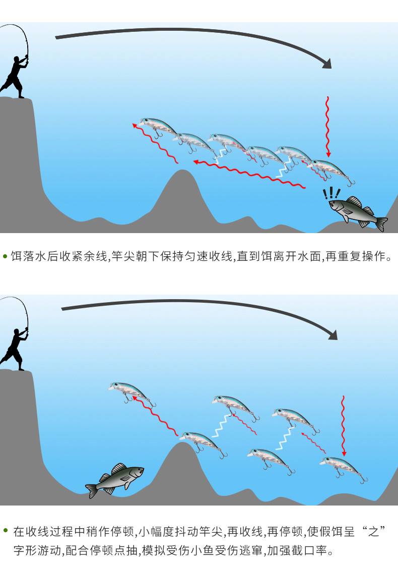 饵料与水比(饵料水比例是重量还是体积)