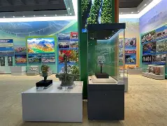 打黑彩有技巧吗(举报别人做黑彩怎么举报)