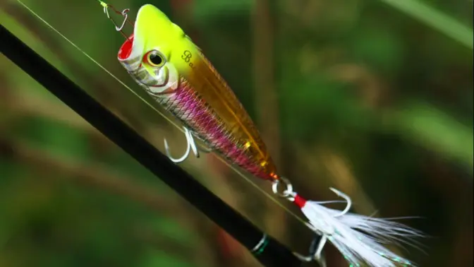 路亚水面系视频(路亚水面系用什么硬度竿)