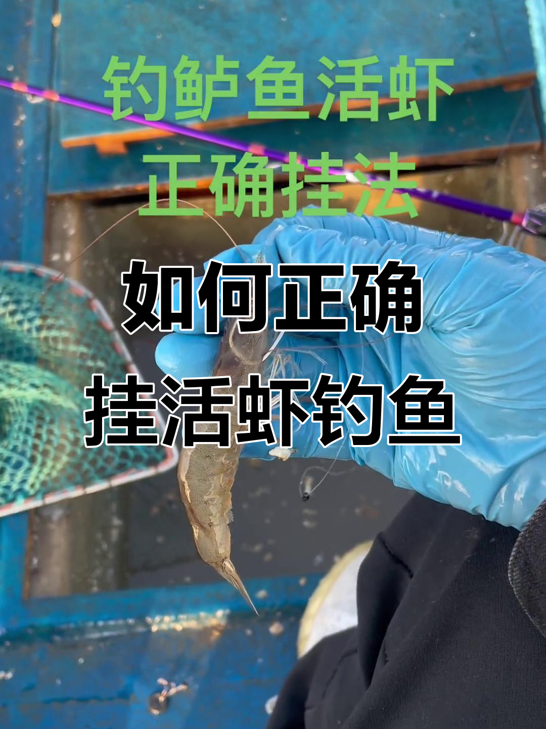 秋季傍晚海钓虾虎鱼技巧的简单介绍