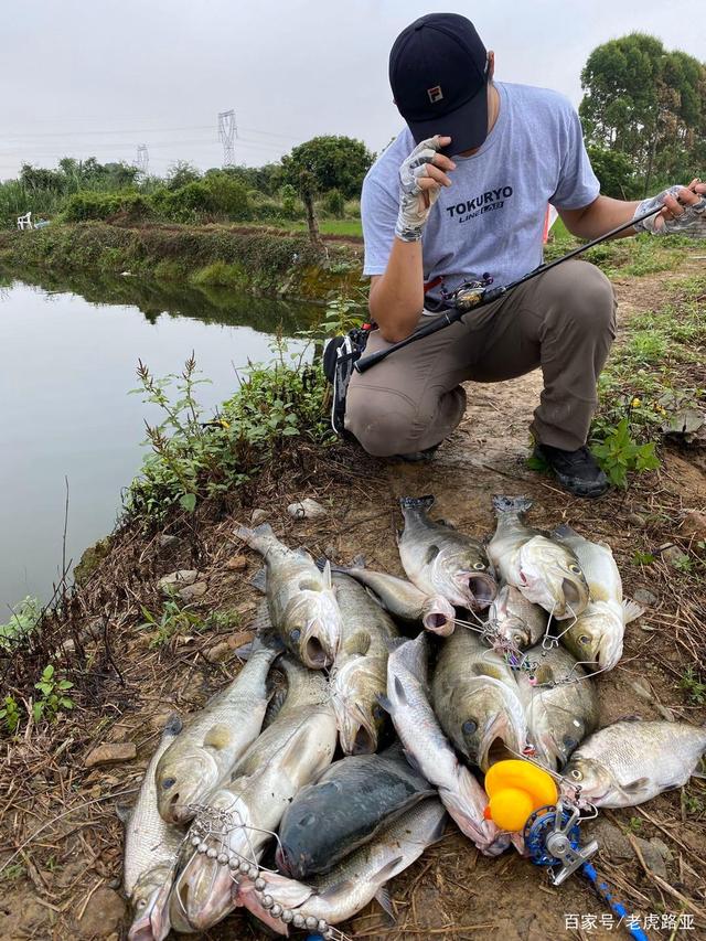 提倡路亚精神(提倡路亚精神的作文)