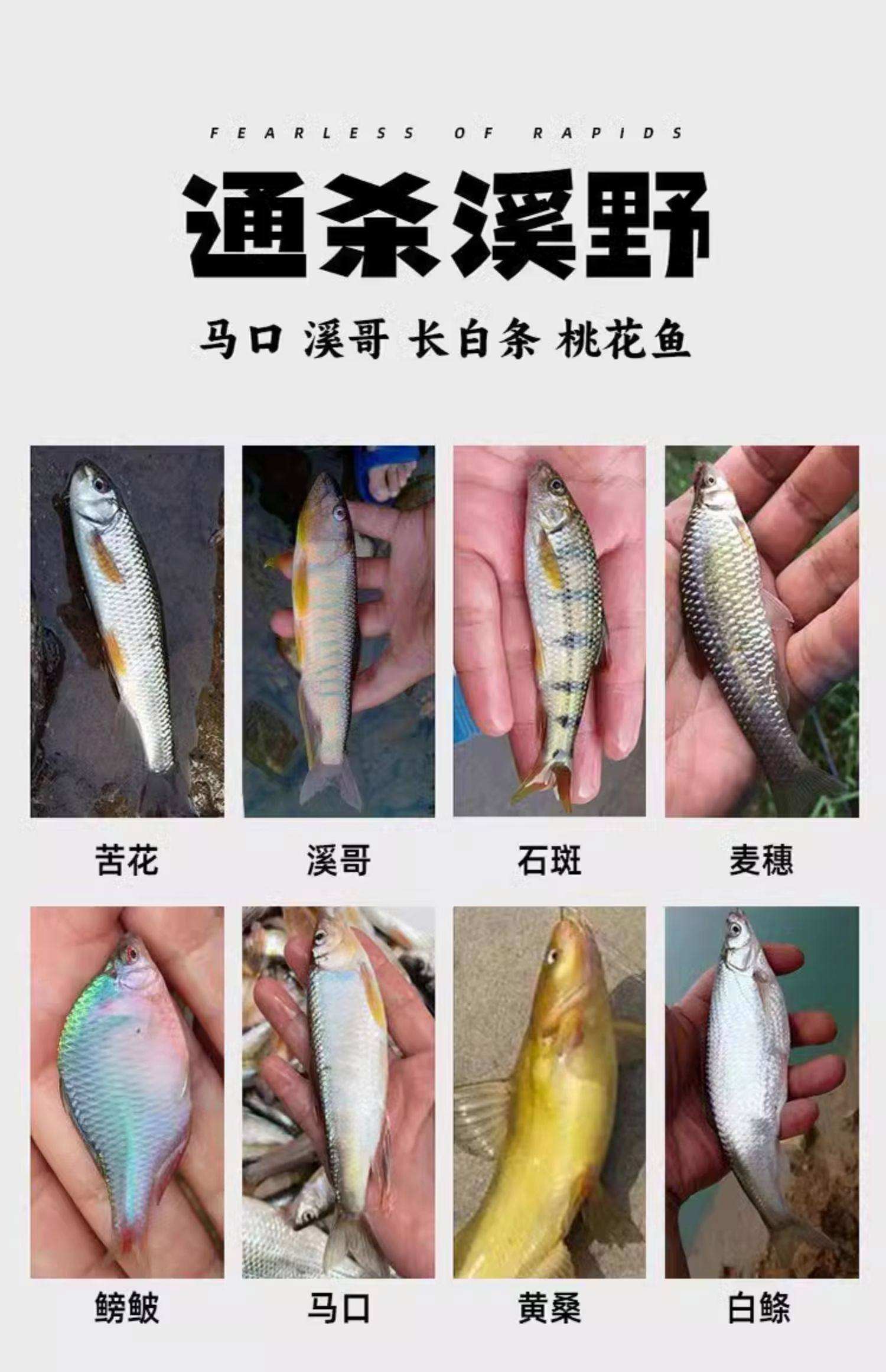 饵料压多少目(用饵料调几目钓几目)