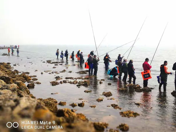 汉沽海钓收费标准(汉沽周边不花钱钓鱼点)