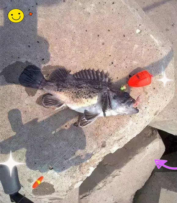 曹妃甸十六家海钓(曹妃甸十六家海钓场地)