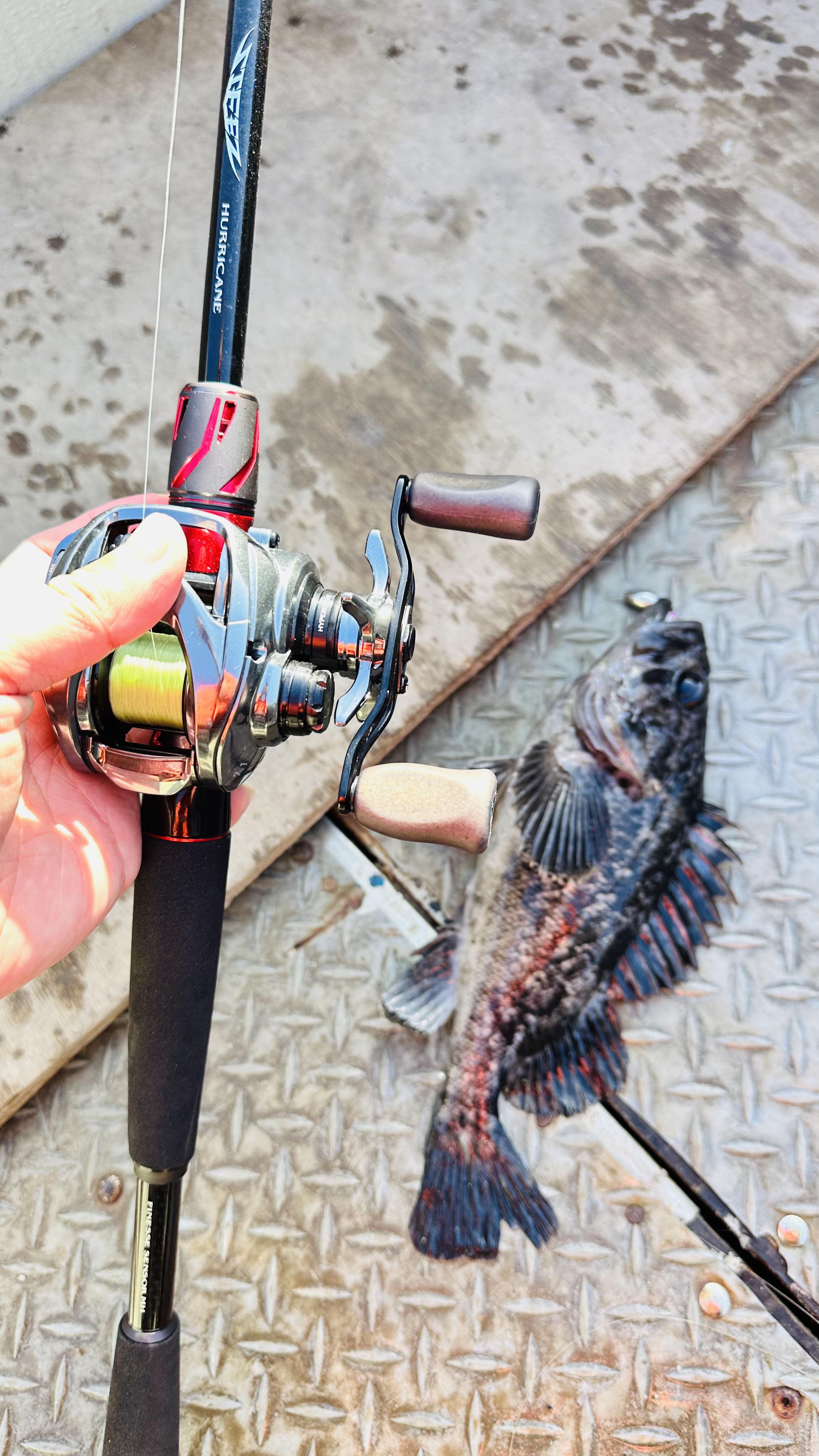 路亚能抛多远(正常路亚抛多少米啊)