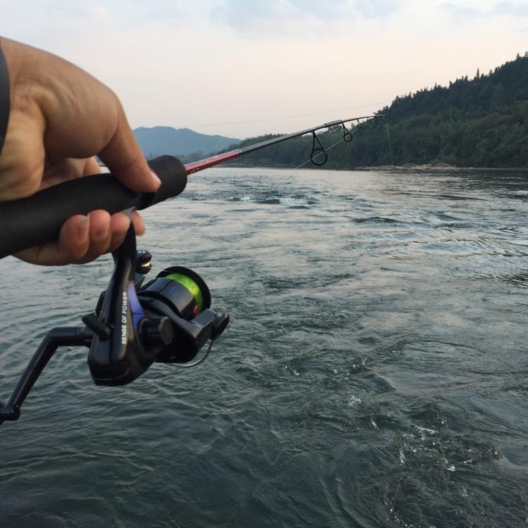 路亚杂志(路亚百科全书)