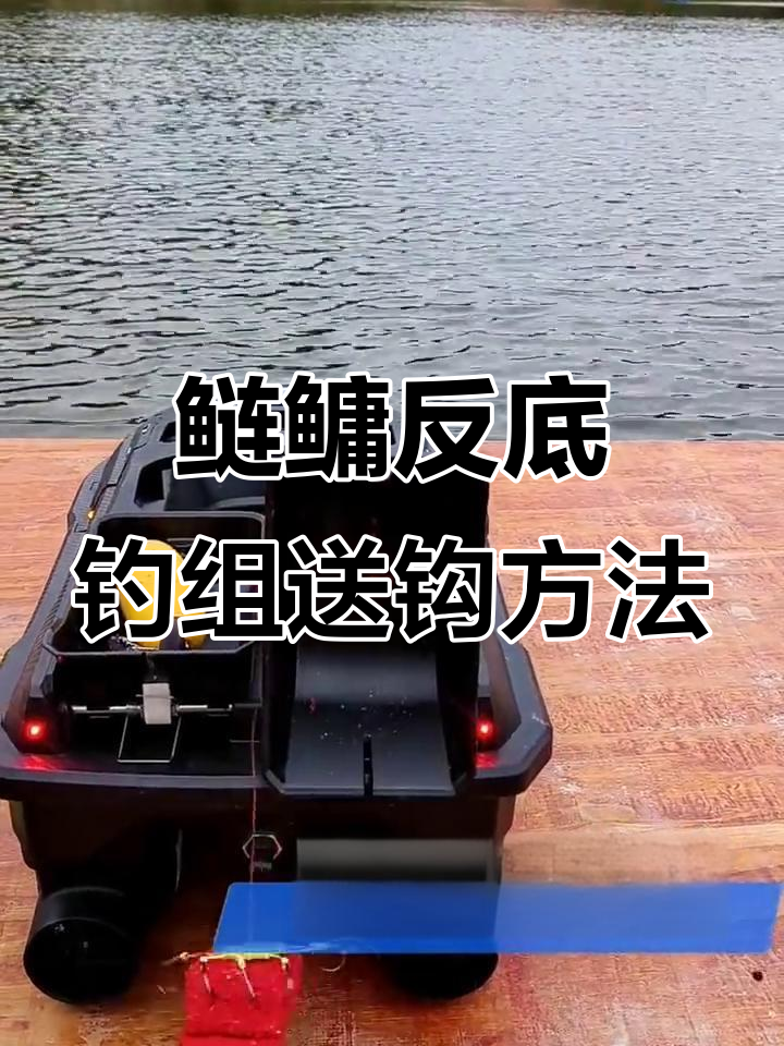 初春钓鲢鳙技巧(初春钓鲢鳙技巧图解)