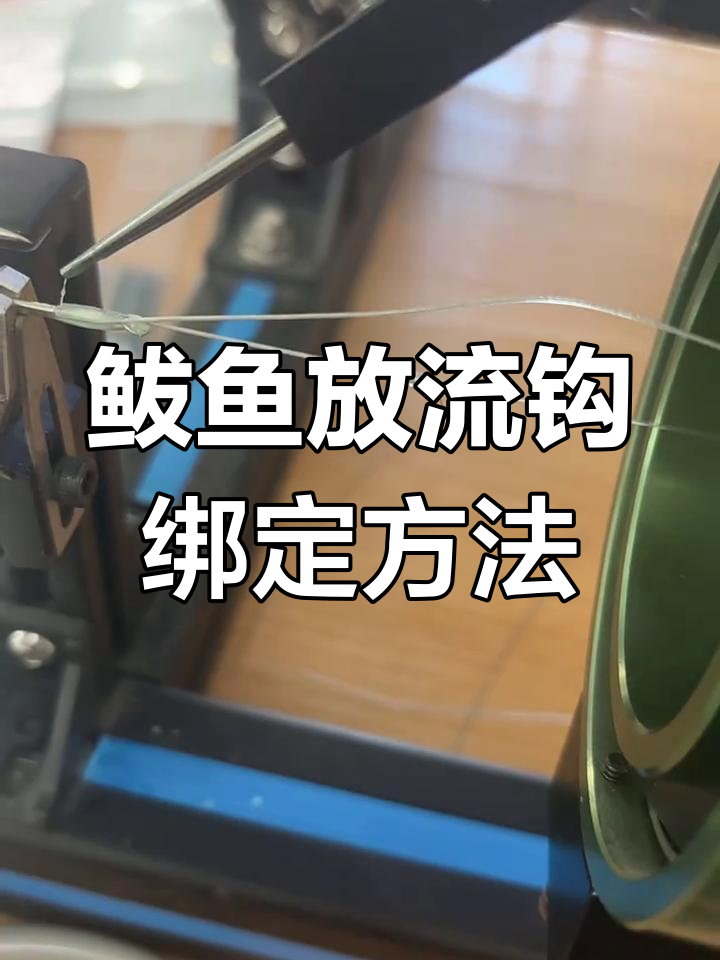 放鱼钩技巧(鱼钩怎么摆放整齐)