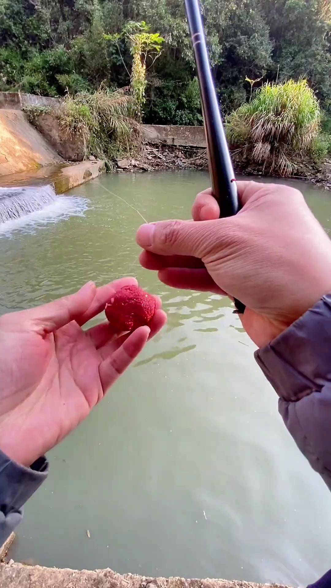 钓小溪石斑鱼技巧(小溪怎么钓石斑鱼用什么饵料)