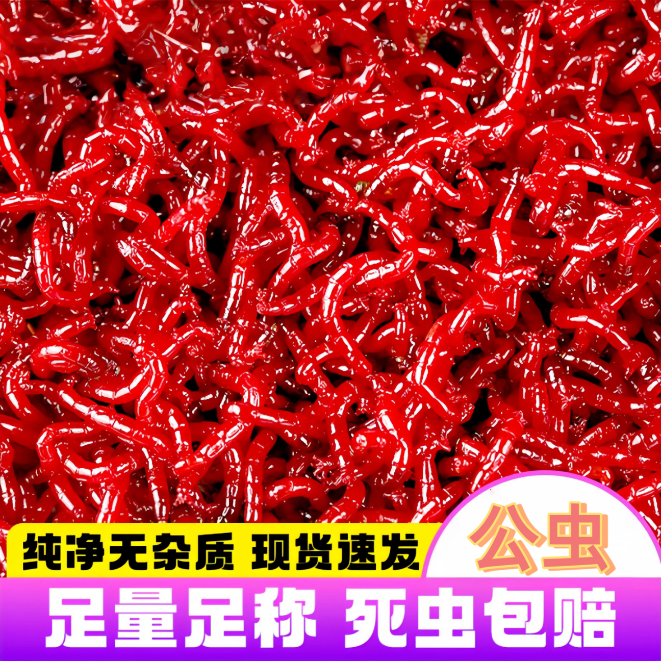 红虫蚯蚓饵料挂钩(红虫蚯蚓饵料挂钩怎么用)