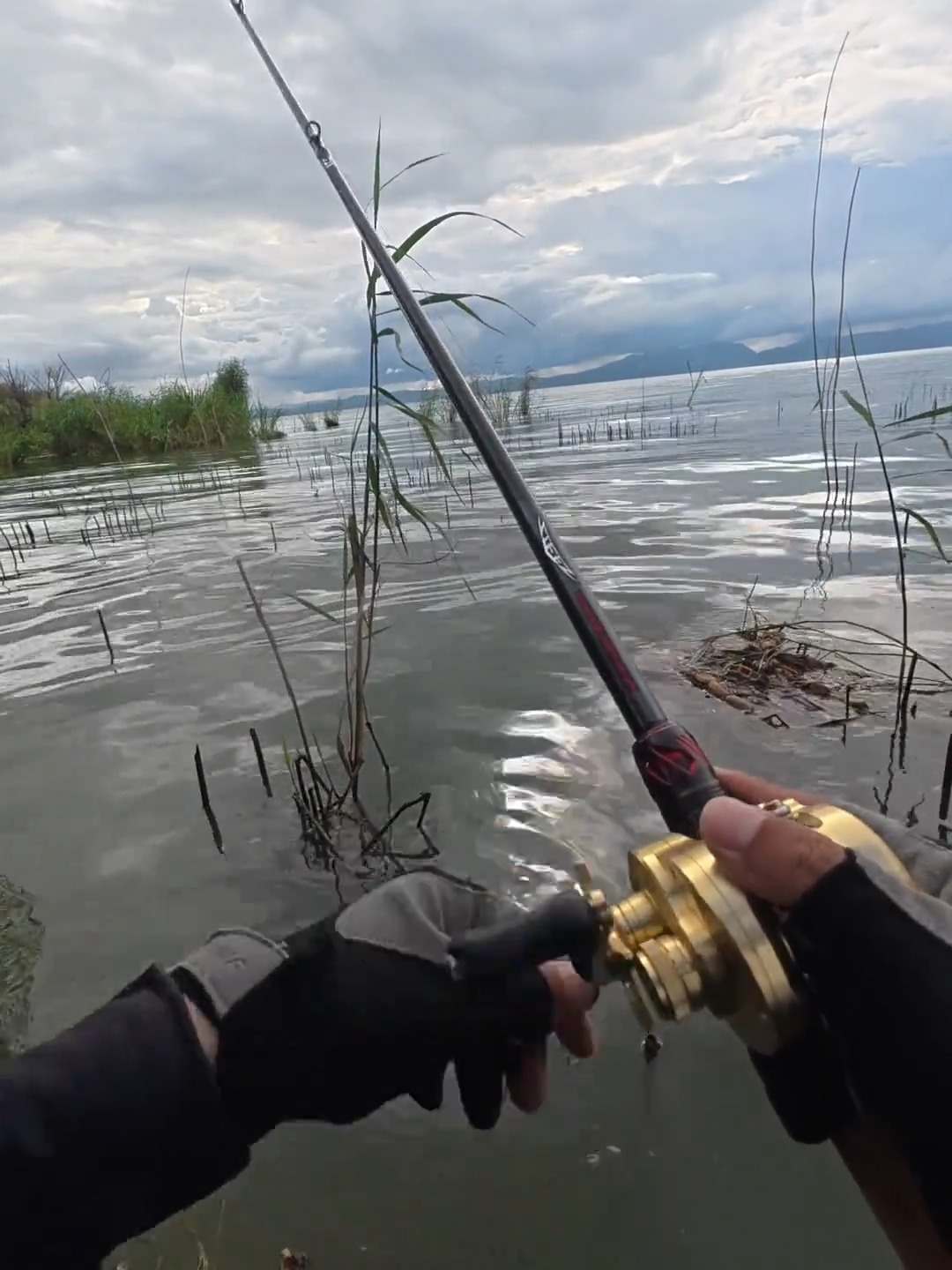 滇池路亚攻略(昆明滇池可以钓路亚吗)
