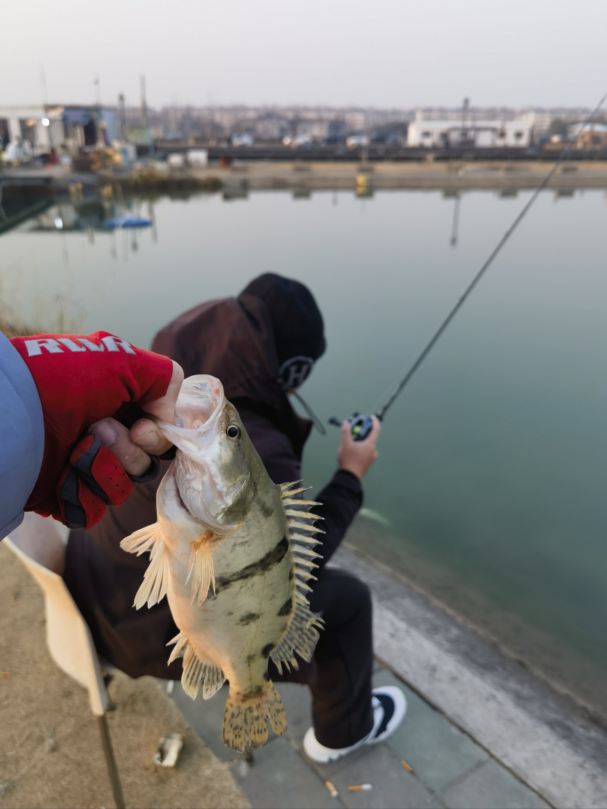 永安水库路亚(永安水库有什么鱼)