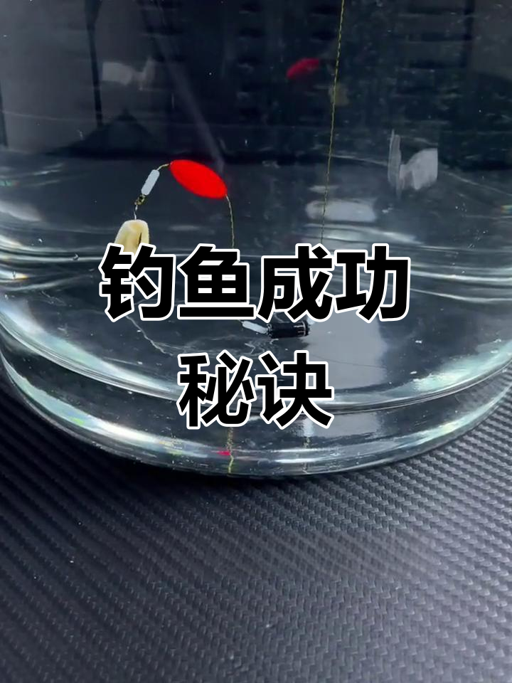 饵料悬浮(鱼饵到底好还是悬浮好)