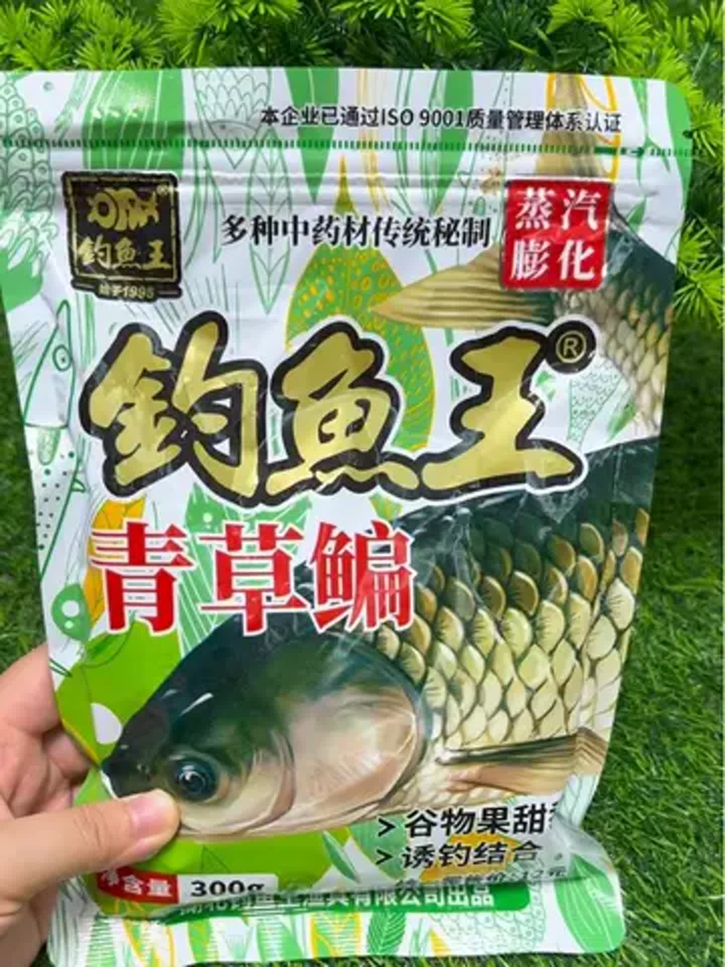 钓草鱼饵料什么好(钓草鱼的饵料有哪些)