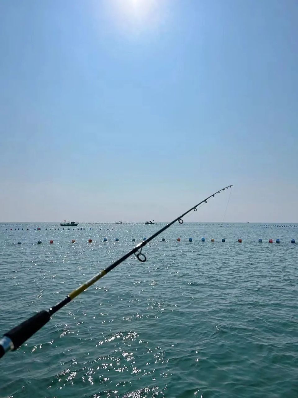 余家海钓鱼(余家海到玉溪有多远)