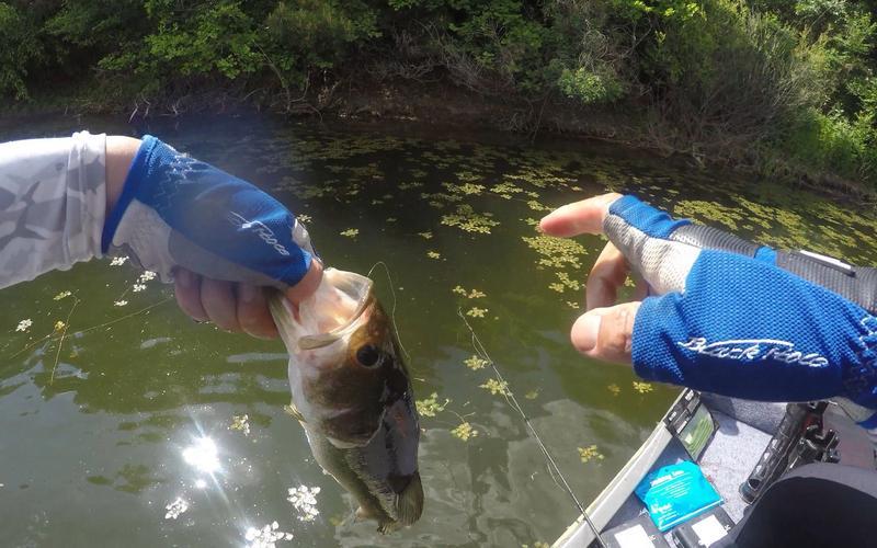 海边钓海鲈鱼的技巧(在海岸边怎样钓海鲈鱼)