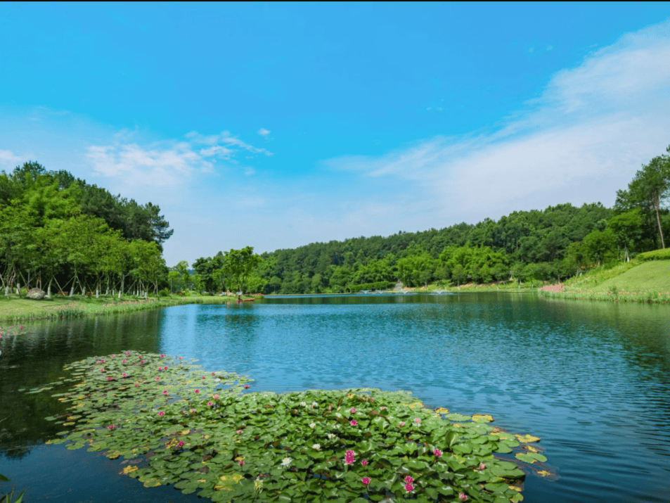 成都永安水库路亚(成都永安水库钓鱼收费)