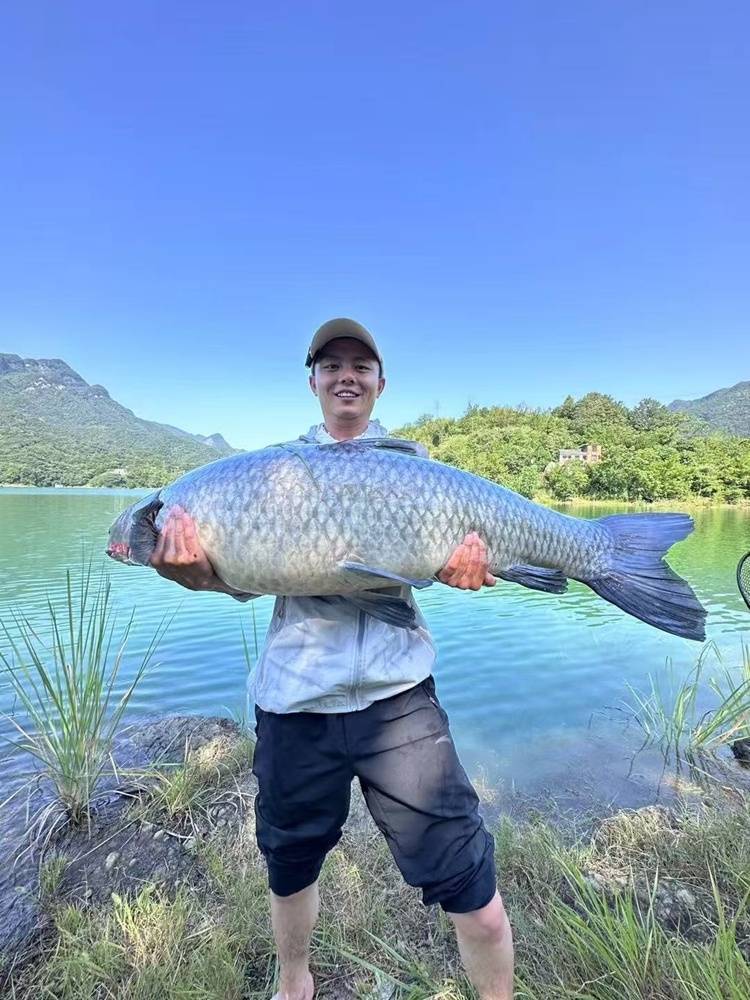 莼湖出海钓鱼(莼湖海边在哪里了)