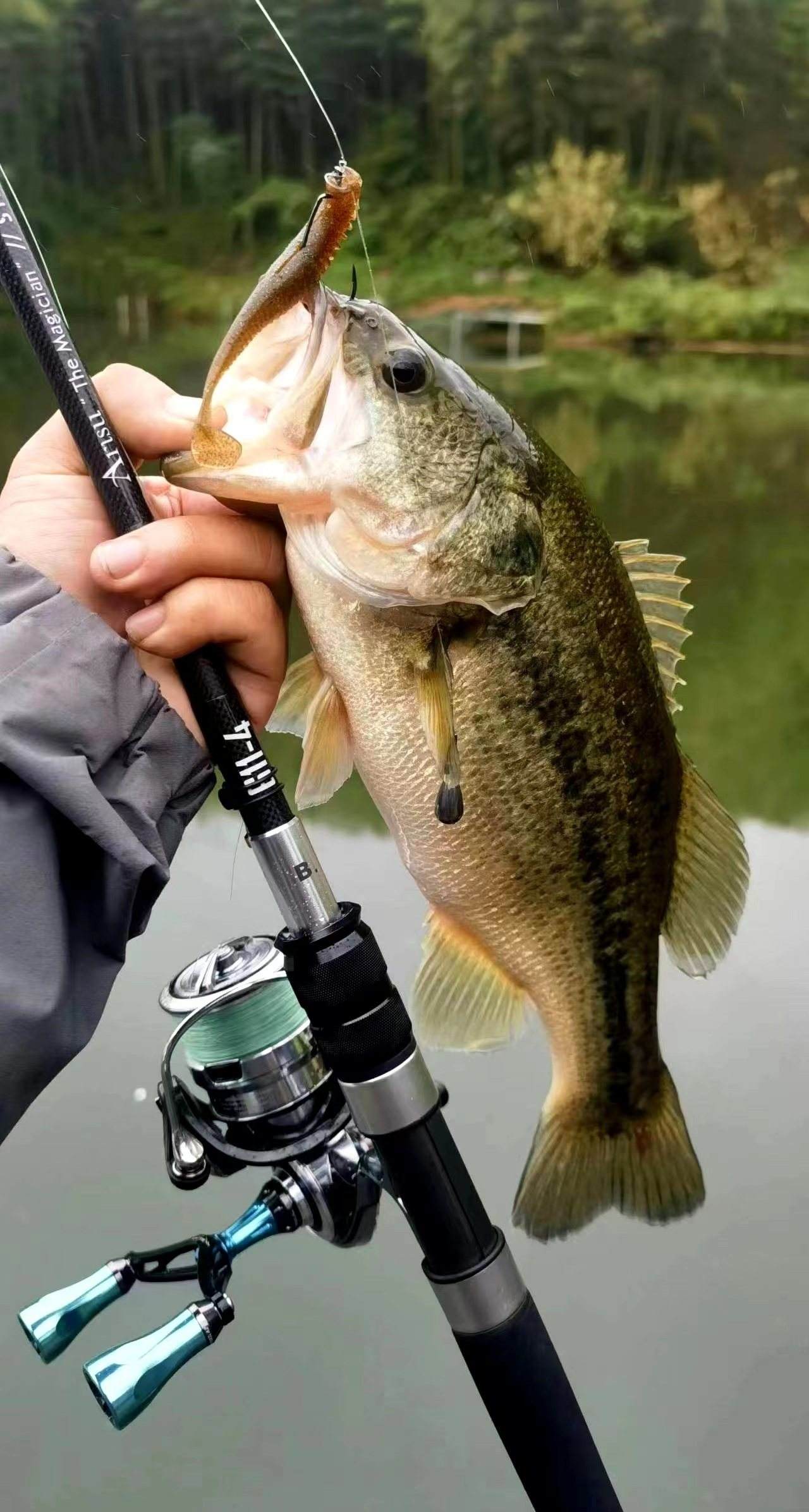 路亚黑鲪(路亚黑鱼百科)