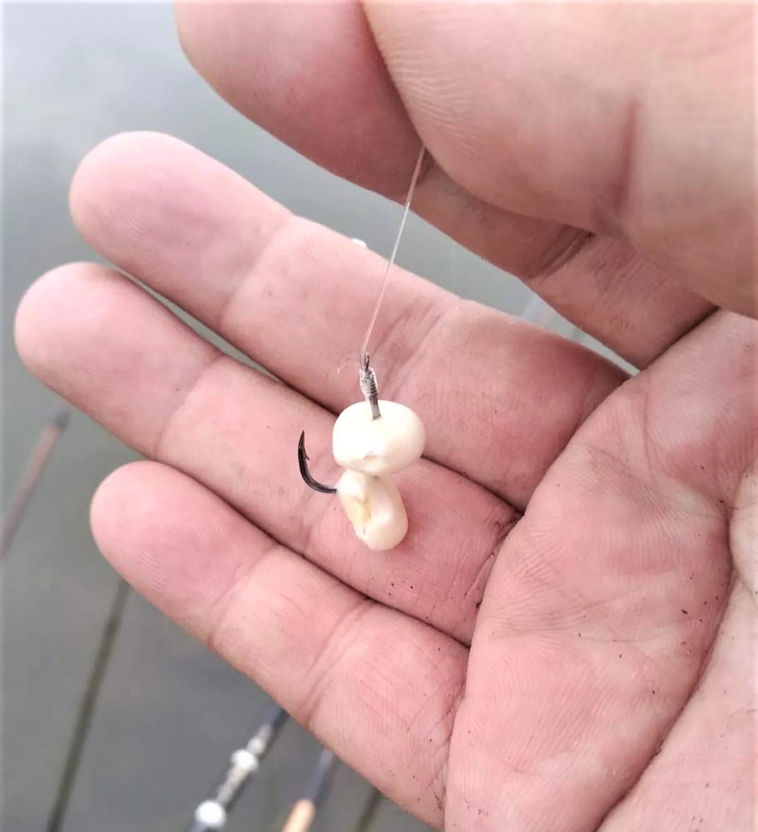 饵料雾化太慢(饵料雾化慢是什么原因)