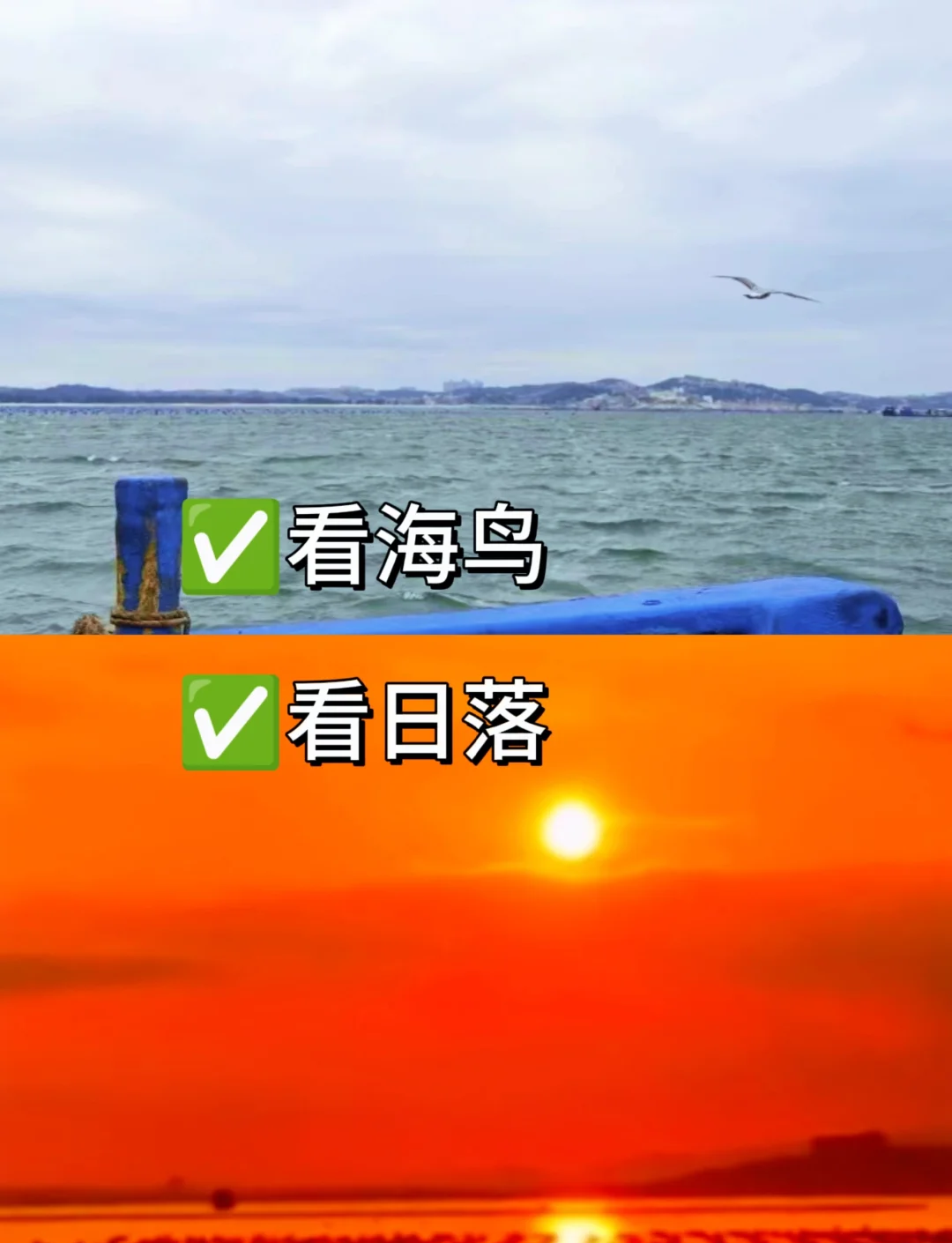 平潭海钓详细攻略(平潭岛海钓联系方式)