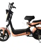 路亚西江(广东西江有什么路亚鱼)