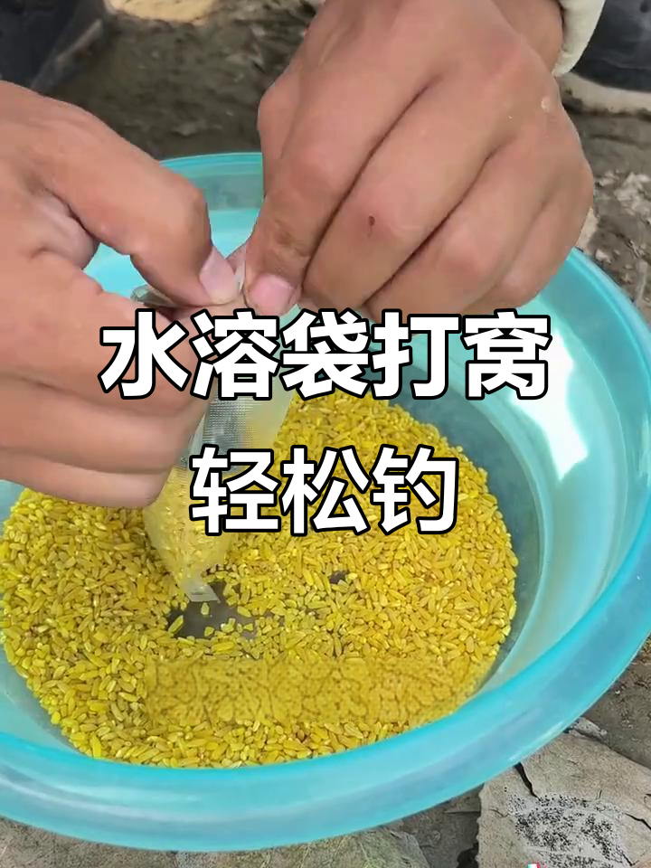 深秋钓鱼打窝技巧(深秋钓鱼打窝多久有鱼)