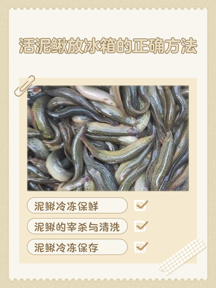 活泥鳅怎么路亚(活泥鳅路亚钓翘嘴的方法)