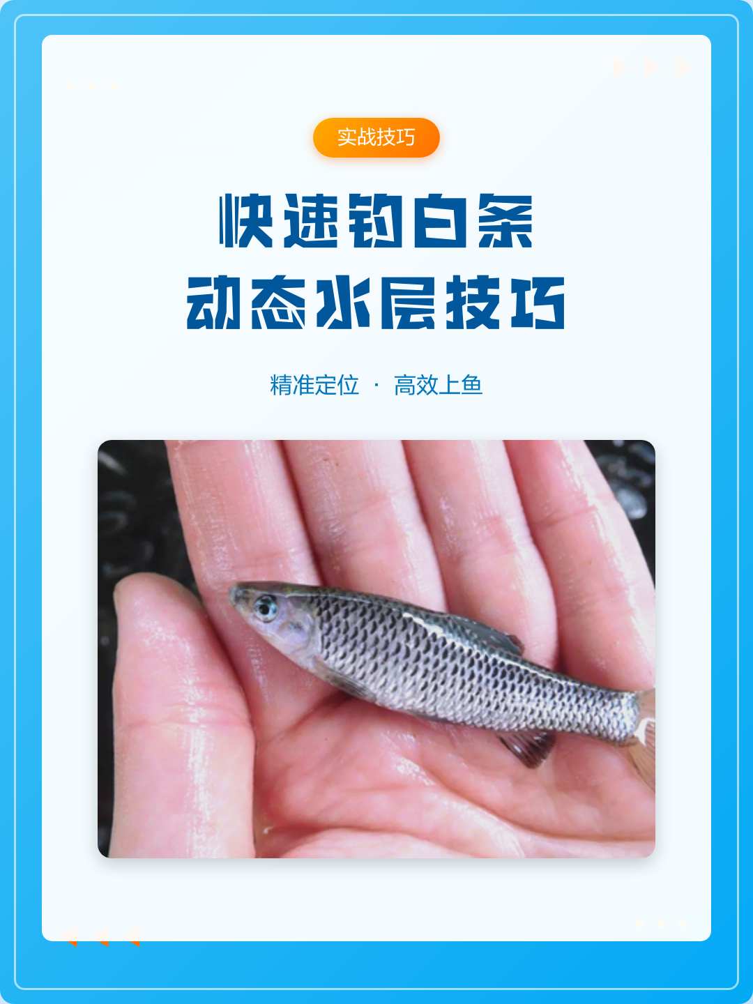 台钓白条技巧和视频(台钓白条技巧和视频大全)