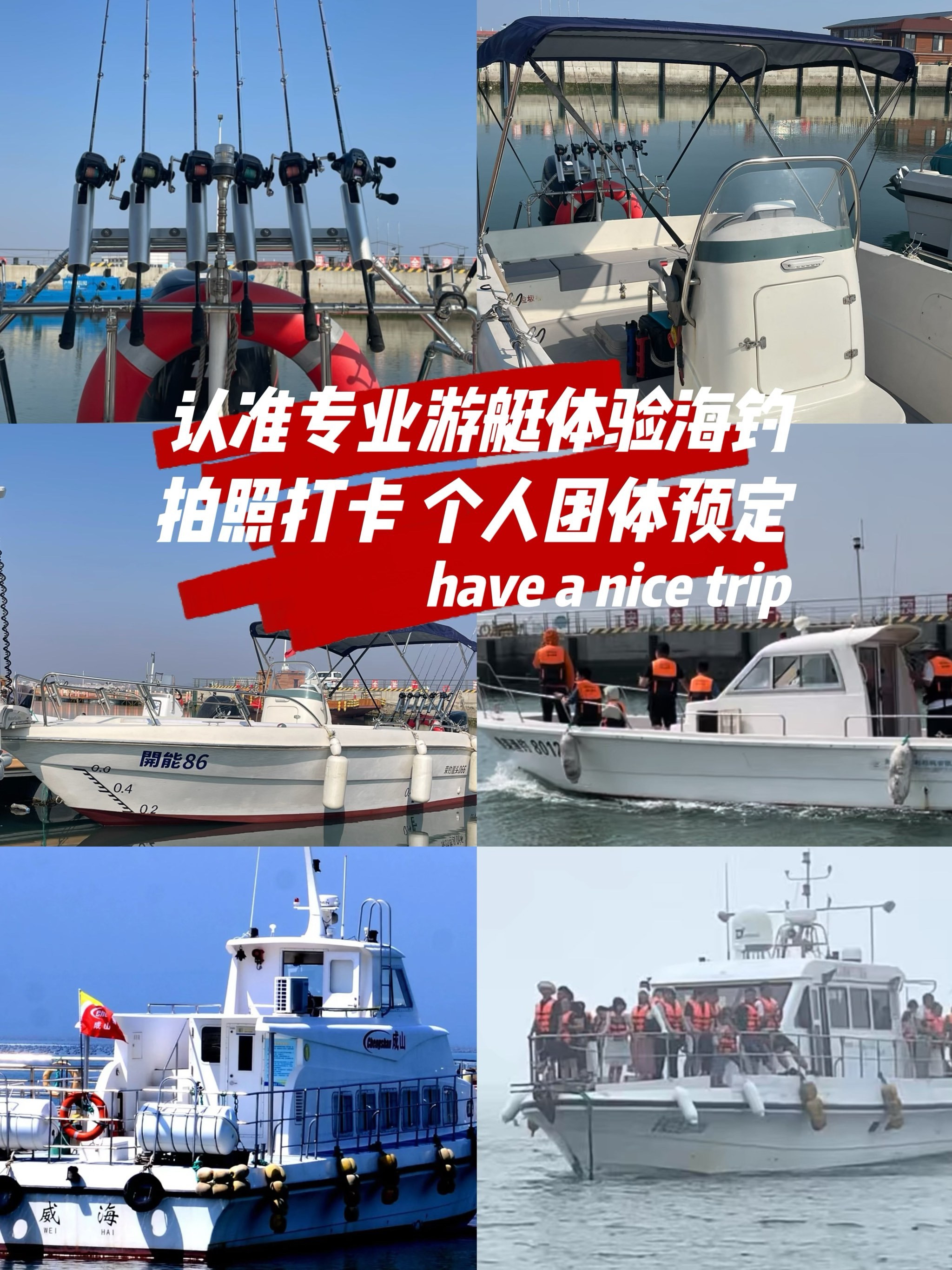 湛江海钓俱乐部(湛江海钓俱乐部在哪里)