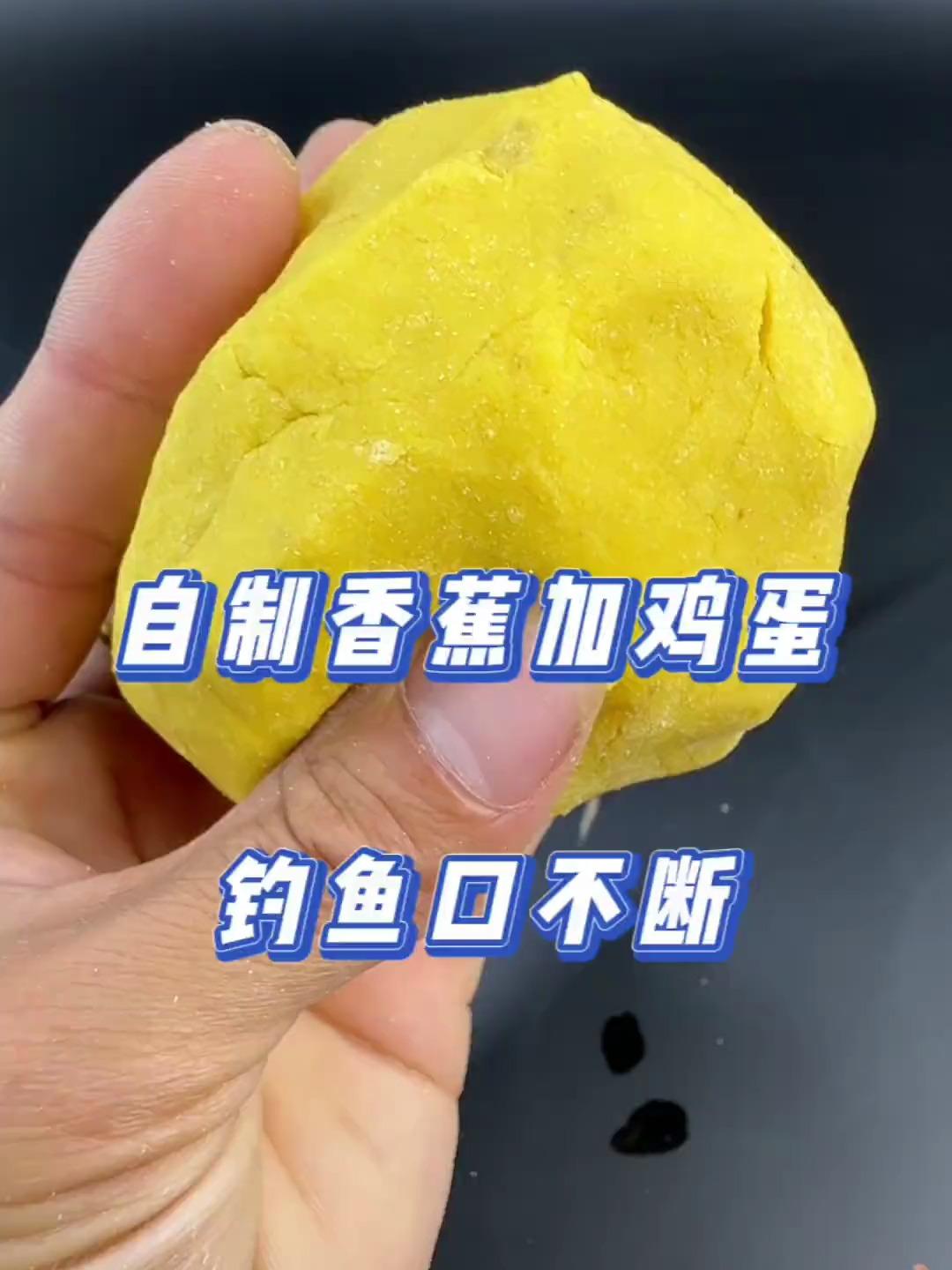 鸡蛋可以拌饵料钓鱼吗(饵料用鸡蛋拌能钓什么鱼)