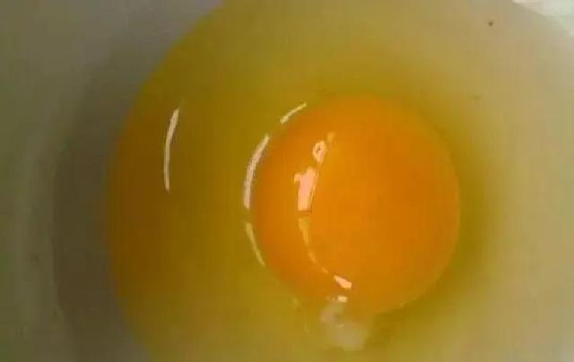 鸡蛋可以拌饵料钓鱼吗(饵料用鸡蛋拌能钓什么鱼)