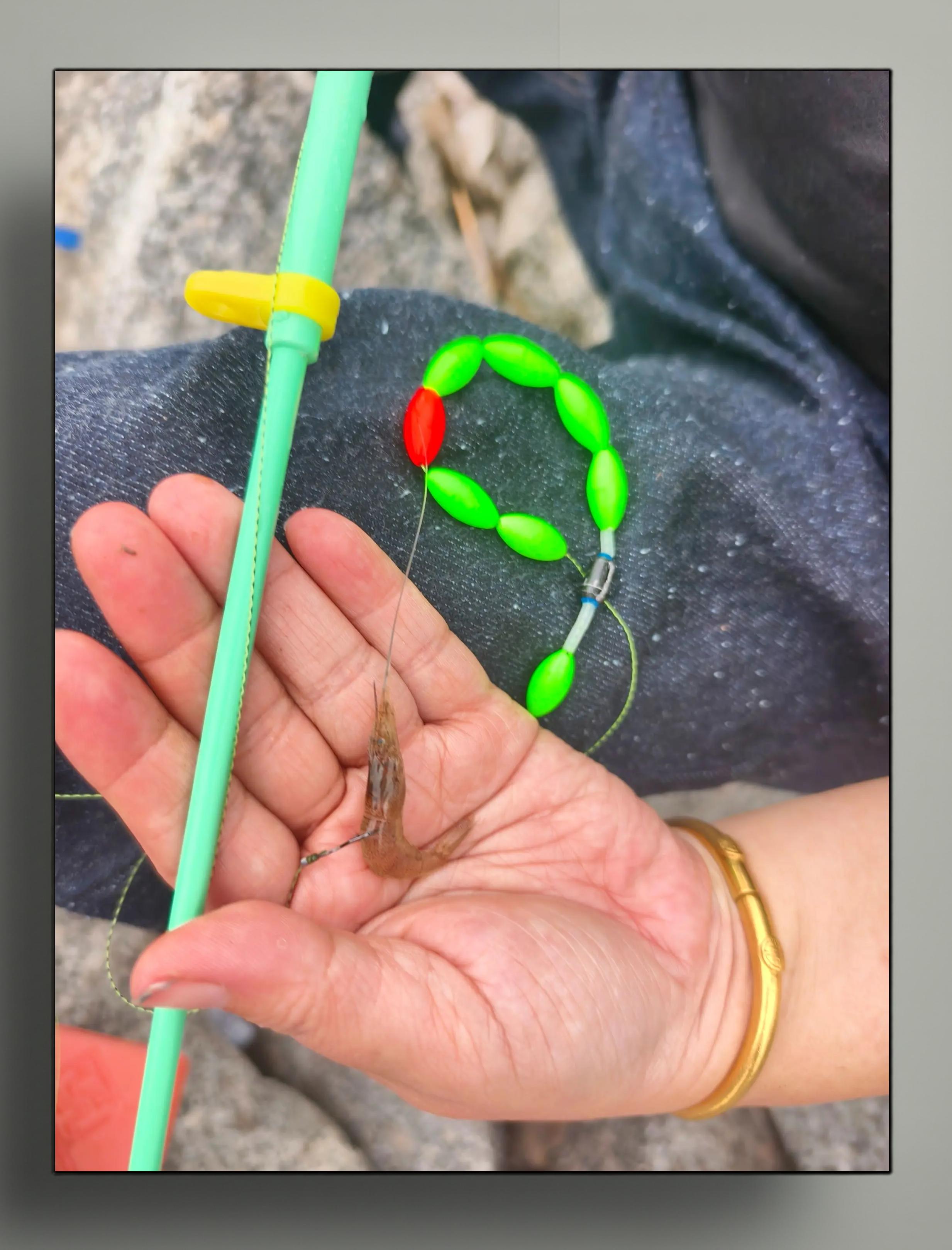 钓鱼饵料招螃蟹(钓鱼有螃蟹应该用什么饵料)