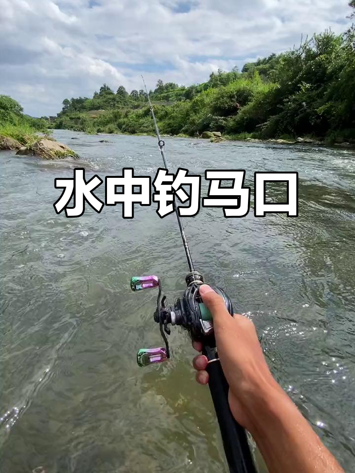 马口的垂钓技巧(公认钓马口最快的钓法)