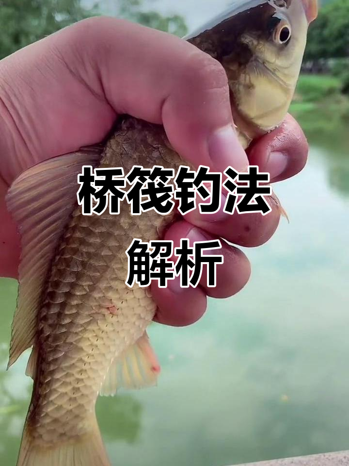 包含筏钓基本技巧详细解析的词条