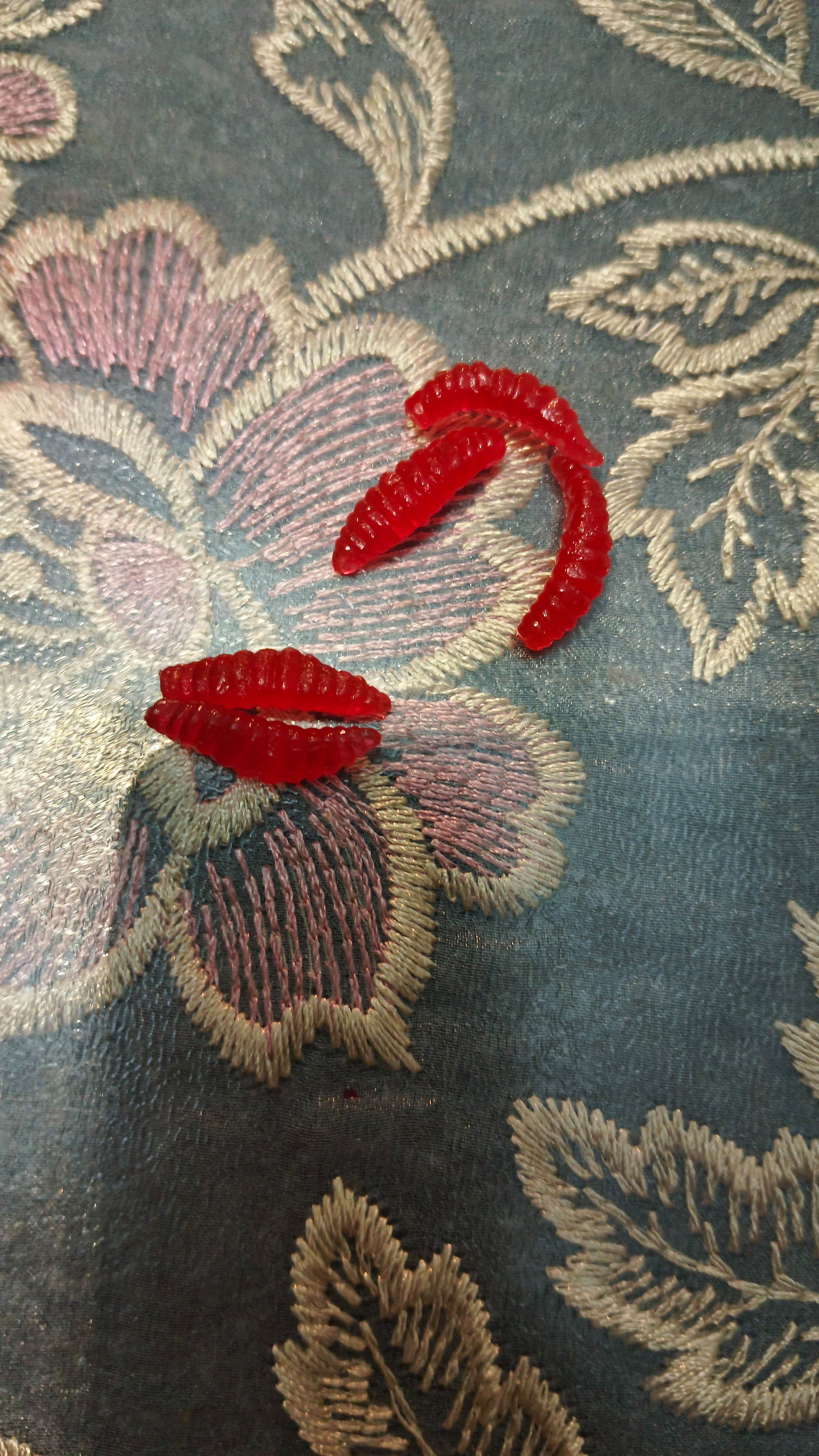 路亚怎么上软假饵(路亚软饵怎么绑主线上)