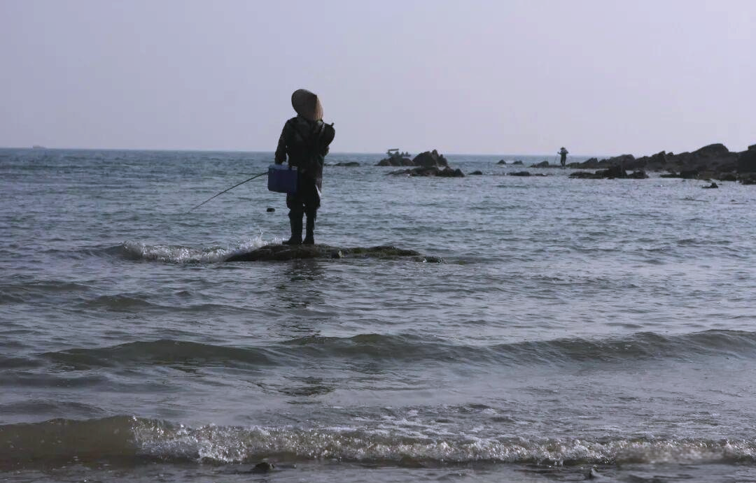 海钓鱼为什么不动(海里的鱼钓起来为什么动都不动)