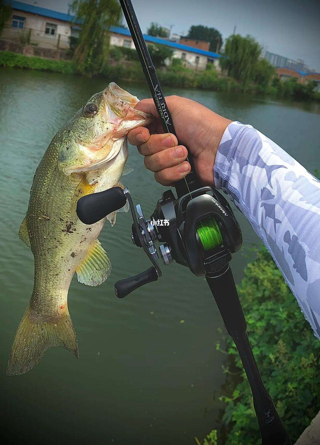 初级路亚路鱼(路亚新手进阶指南)