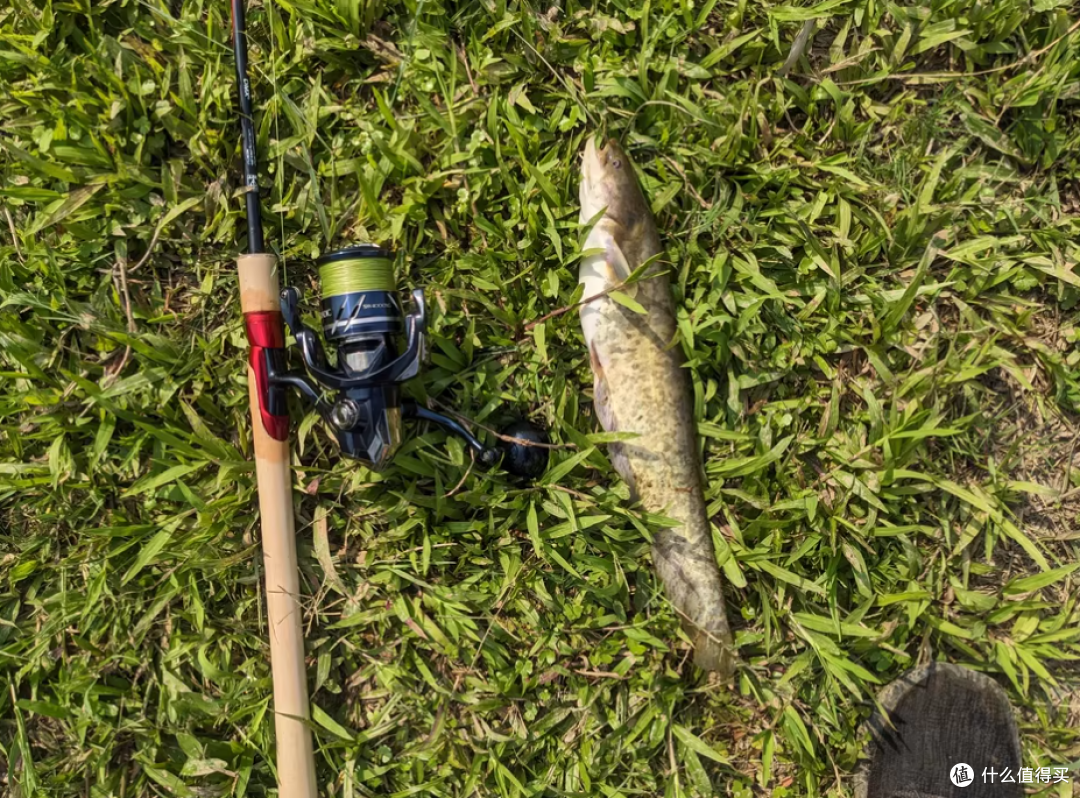 路亚竿能上飞机吗(路亚鱼竿能上飞机吗)