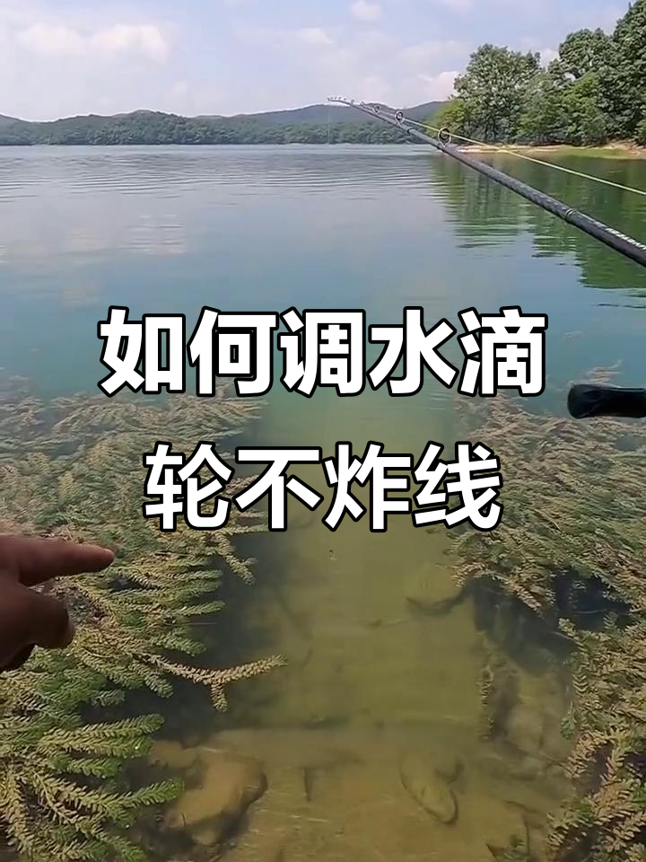 水滴轮抛投特殊技巧(水滴轮抛投特殊技巧有哪些)