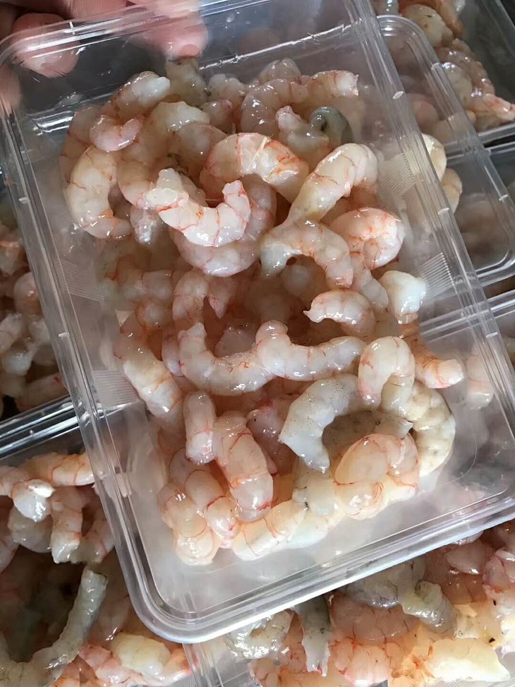 海钓虾仁有点硬(海虾仁能钓淡水鱼吗)