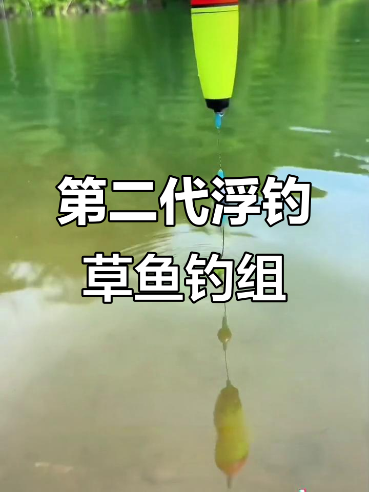 掉草鱼扁鱼技巧(草鱼扁鱼钓底还是浮)