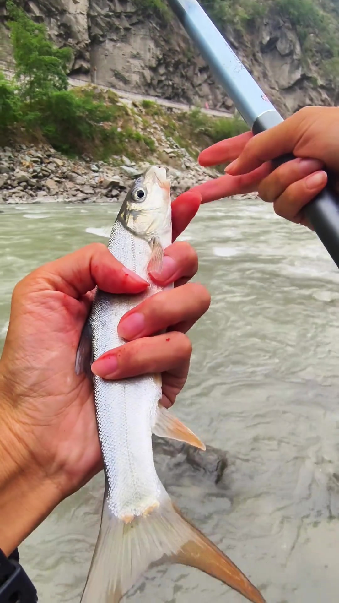 钓雅鱼的技巧和钓位(钓雅鱼的技巧和钓位视频)