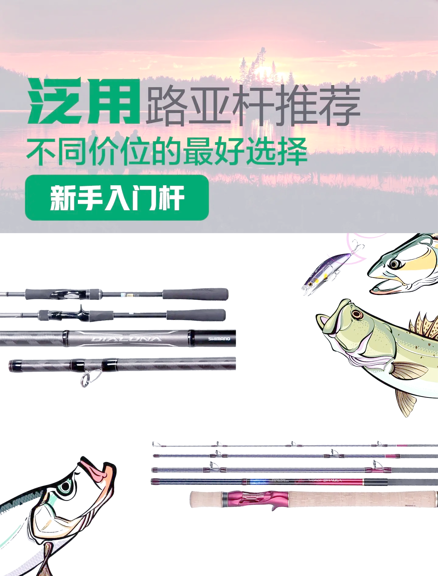 路亚小白条路亚杆推荐(路亚小白条用什么饵钓最好)