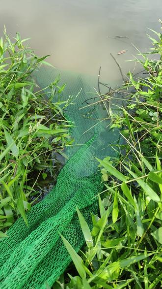 罗飞抓口技巧(野钓罗飞怎么打窝?)